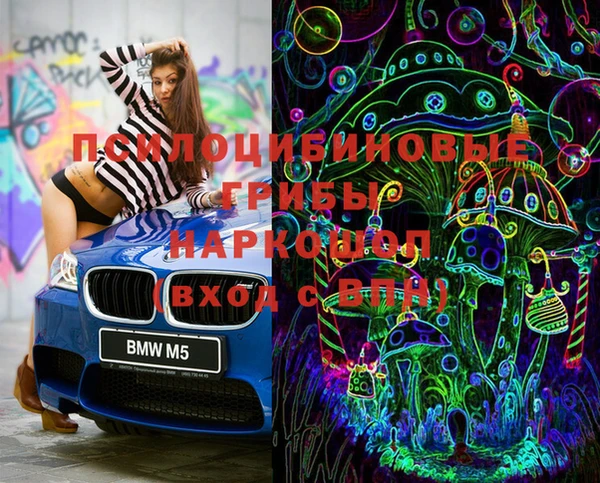 ПСИЛОЦИБИНОВЫЕ ГРИБЫ Нягань