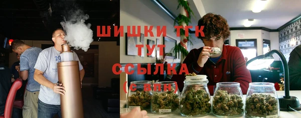 ПСИЛОЦИБИНОВЫЕ ГРИБЫ Нягань